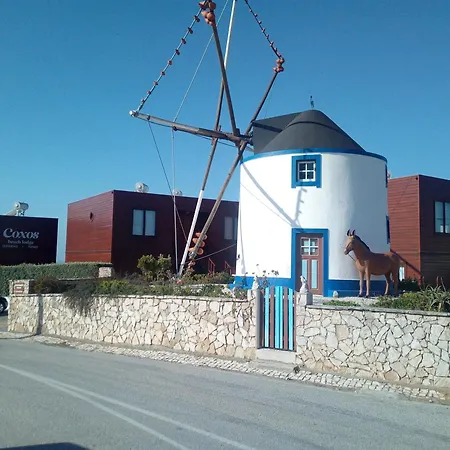 Coxos Μάφρα